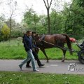 IMG_404092
