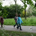 IMG_404124