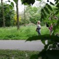 IMG_404253