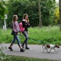 IMG_404260