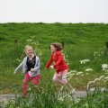 IMG_408321