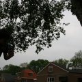 IMG_406646