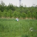 IMG_410105