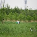 IMG_410106