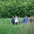 IMG_410113