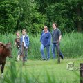 IMG_410114