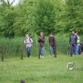 IMG_410118