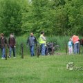 IMG_410119