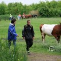 IMG_410121