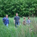 IMG_410125
