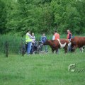 IMG_410131