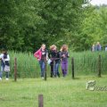 IMG_410146
