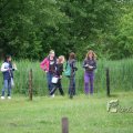 IMG_410147