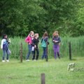 IMG_410148