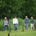IMG_410164