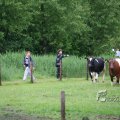 IMG_410176