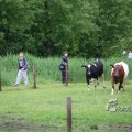 IMG_410177