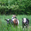 IMG_410188