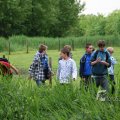 IMG_410193