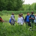 IMG_410194