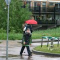 IMG_410426