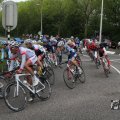 IMG_1012161