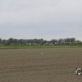 IMG_1009587