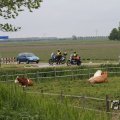 IMG_1009594