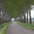 IMG_1009602
