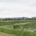 IMG_1009746