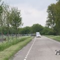 IMG_1009747