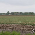 IMG_1009748