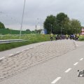 IMG_1008942