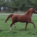 IMG_1011706