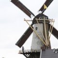 IMG_1011743