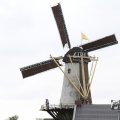 IMG_1011744