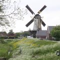IMG_1011745