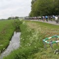 IMG_1011800