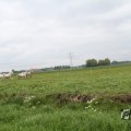 IMG_1011804
