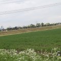 IMG_1011819