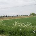 IMG_1011820