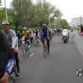 IMG_1011985