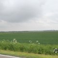 IMG_1009823