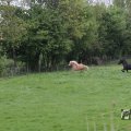 IMG_1009940