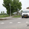 IMG_1010008