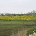 IMG_1011394
