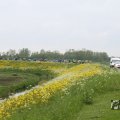 IMG_1011396