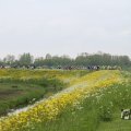 IMG_1011397