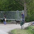 IMG_1011401