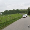 IMG_1011425